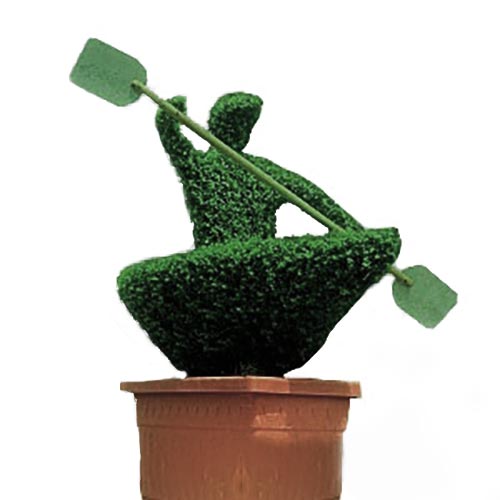 Topiary Canoe With Man (Ligustrum Jonandrum)