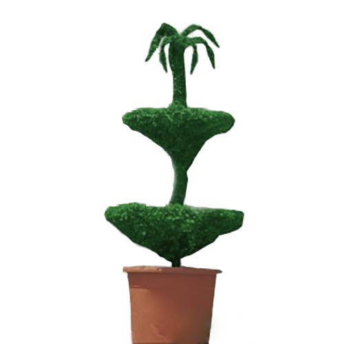 Topiary Fountain 2 Levels (Ligustrum Jonandrum)