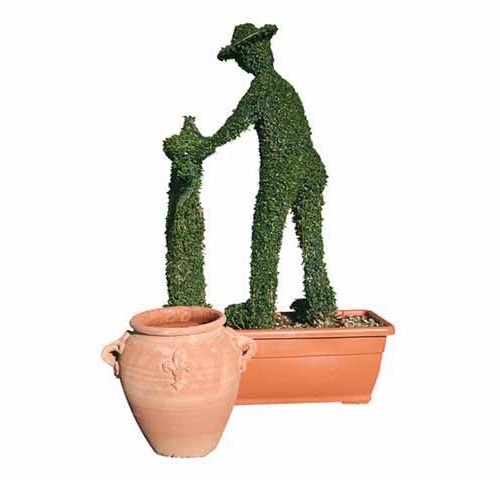 Man At The Wellspring With Terracota Jar (Ligustrum Jonandrum)