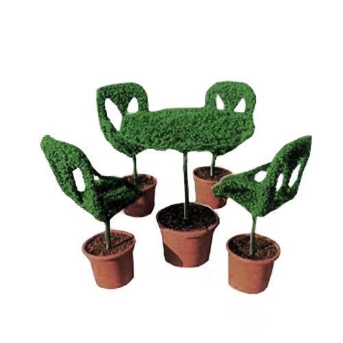 Table With Chairs (Ligustrum Jonandrum)