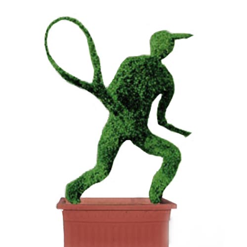 Tennis Player (Ligustrum Jonandrum)