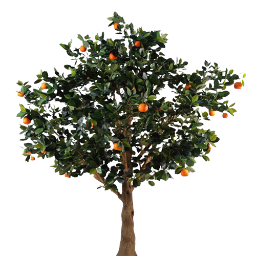 Ornamental Fruit Trees