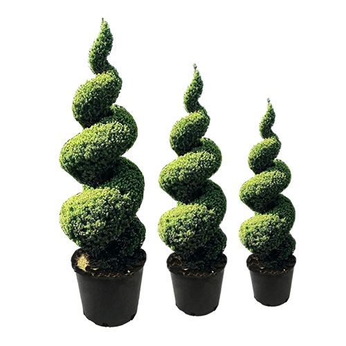 Topiary Spirals