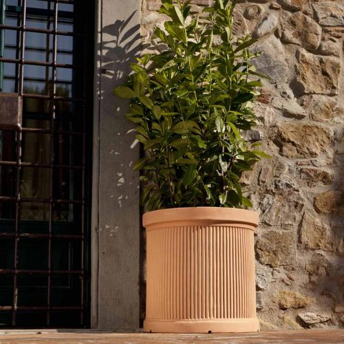 'Millerighe' Half-sized Pot