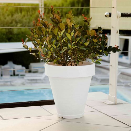 Country Style Round Pot + Saucer