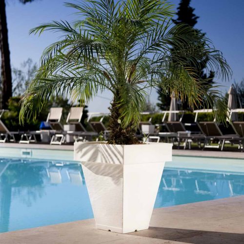 Country Style Square Pot + Saucer