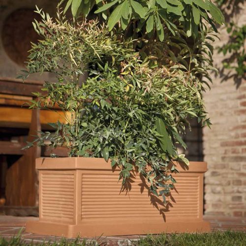 'Millerighe' Planter