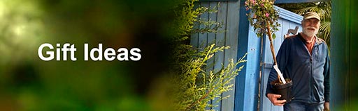 Gift-Ideas-1-512