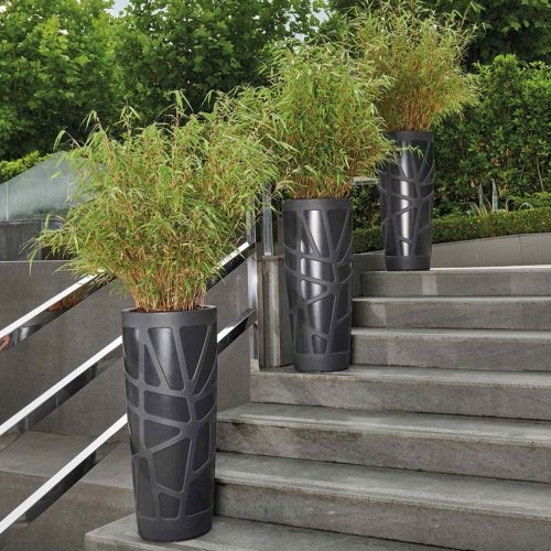 Mosaic Curve High Pot