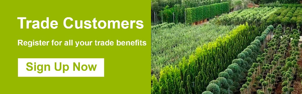 trade-customers-main-right-side