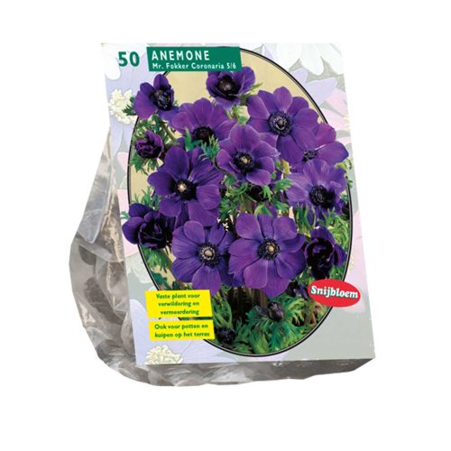 Anemone 'Mr. Fokker' — pack of 50
