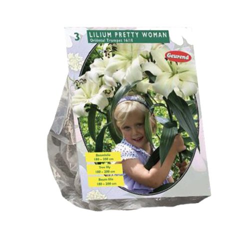 Lilium 'Pretty Woman' — pack of 3