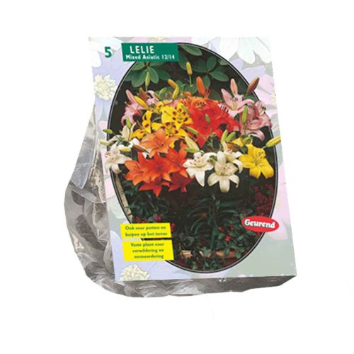 Lilium Mix — pack of 5