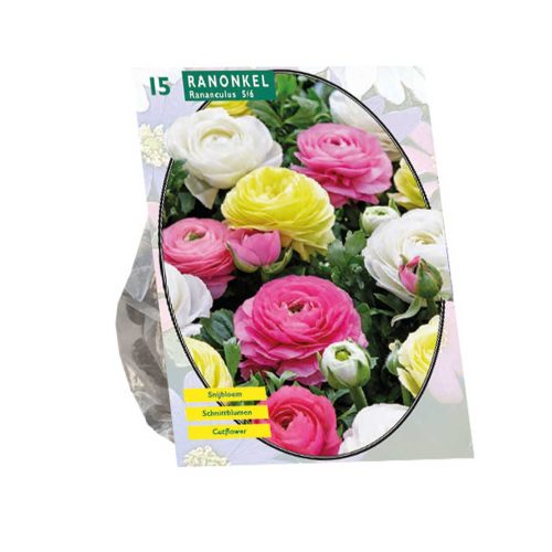 Ranunculus Pastel Mix — pack of 15