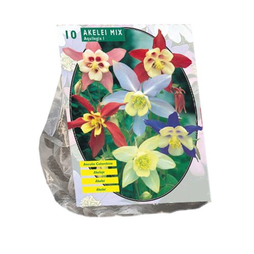 Akelei Mixed — pack of 10