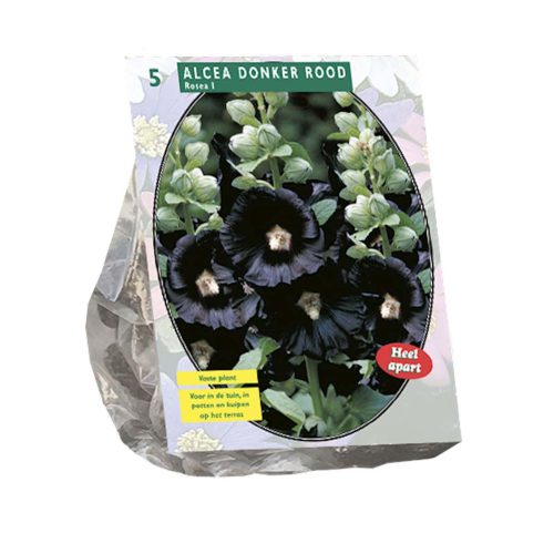 Alcea 'Deep Red' — pack of 5