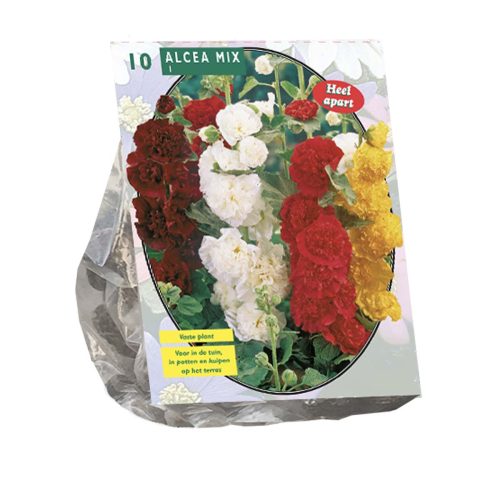 Alcea Mix — pack of 10