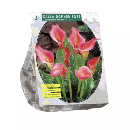 Calla Zantedeschia 'Deep Pink' — pack of 3
