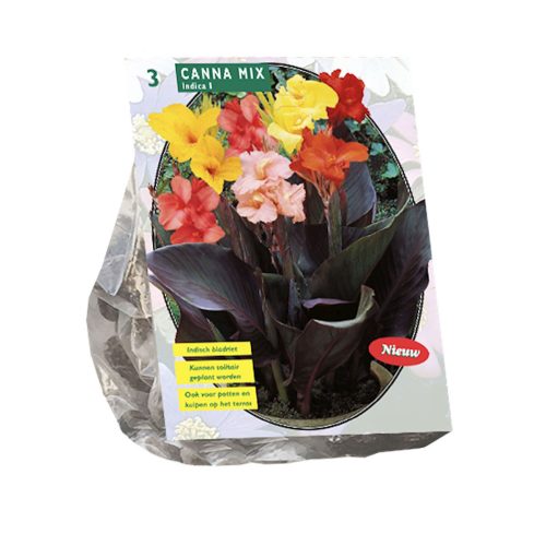 Canna Mix — pack of 3