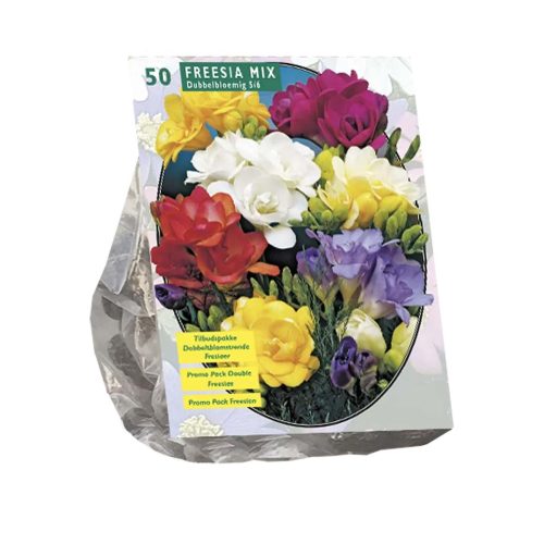 Freesia Double Mixed