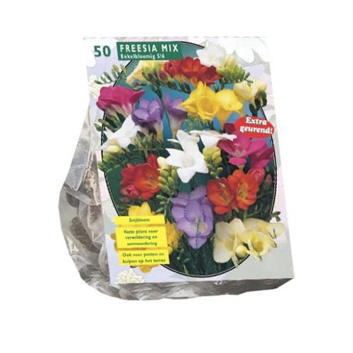 Freesia Single Mixed