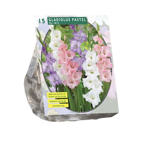 Gladiolus Pastel Mix — pack of 15