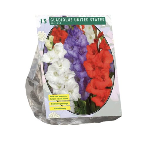 Gladiolus United States Mix — pack of 15