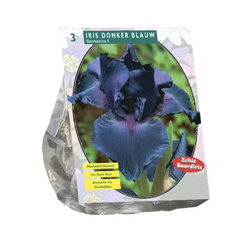 Iris Germanica Deep Blue — pack of 3