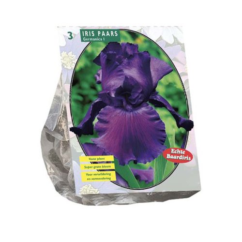 Iris Germanica Purple — pack of 3