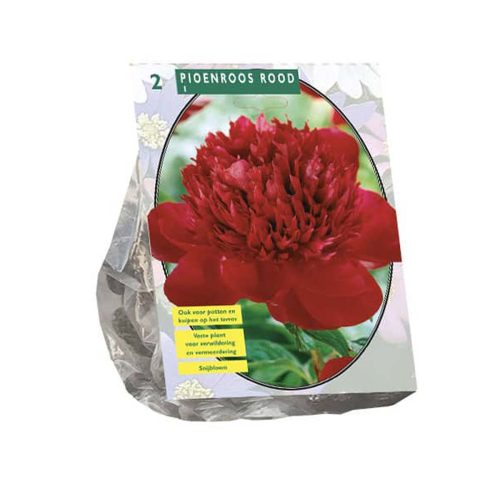 Peonies Red — pack of 2