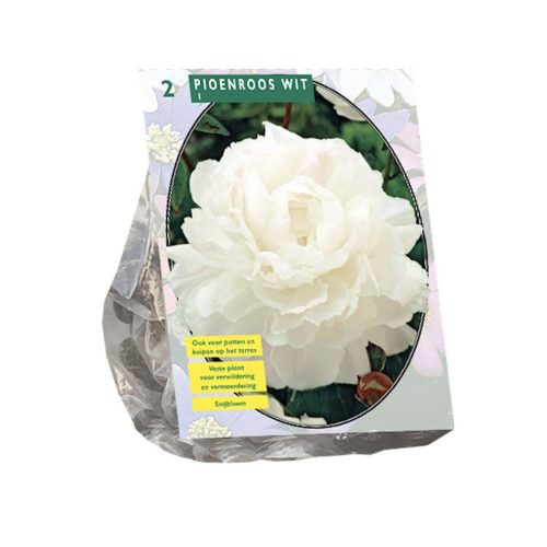 Peonies White — pack of 2