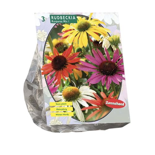 Echinacea Mix — pack of 3