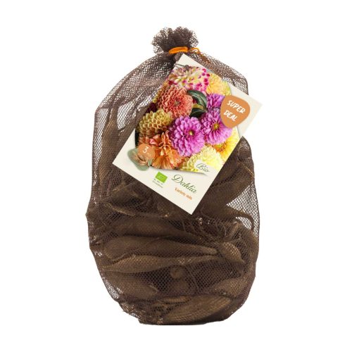 Bio Dahlia Netlon — Variety Mix of 3