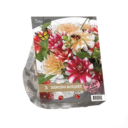 Urban Flowers - Dancing Bouquet —  pack of 3