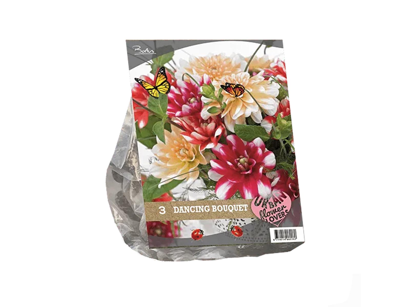 Urban Flowers - Dancing Bouquet — pack of 3