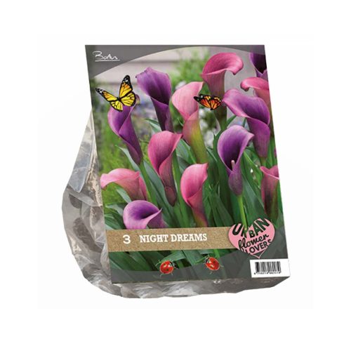 Urban Flowers - Night Dreams —  pack of 3