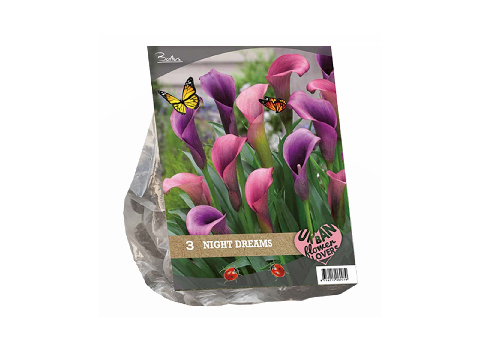 Urban Flowers - Night Dreams — pack of 3