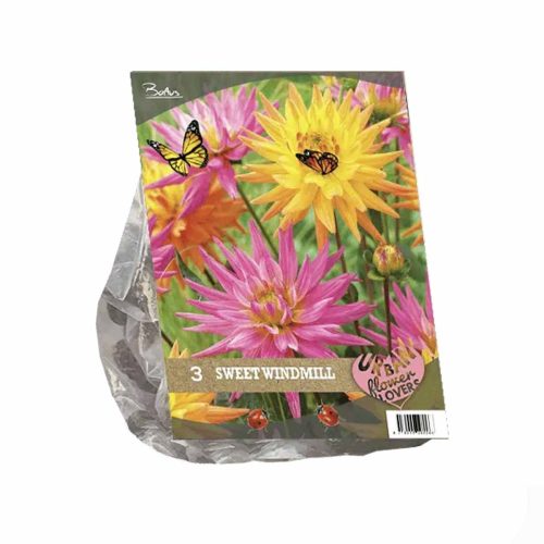 Urban Flowers - Sweet Windmill —  pack of 3