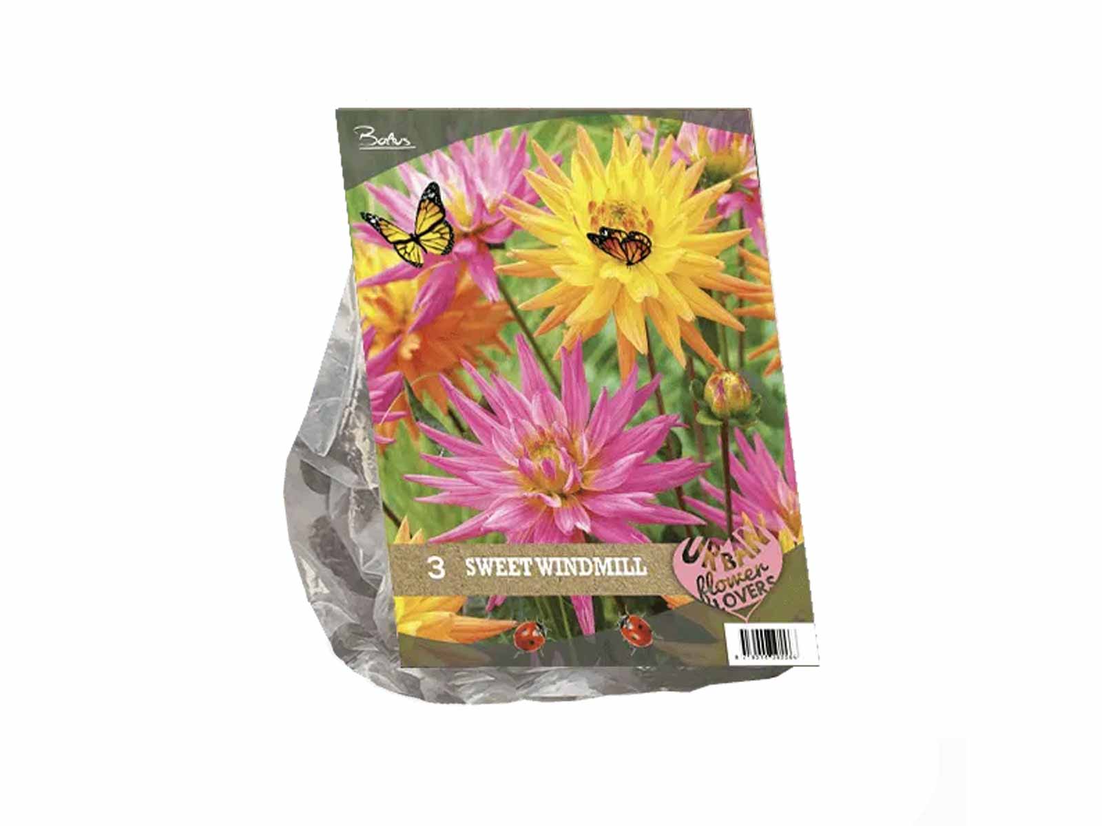 Urban Flowers - Sweet Windmill — pack of 3