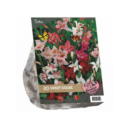Urban Flowers - Sweet Desire —  pack of 20