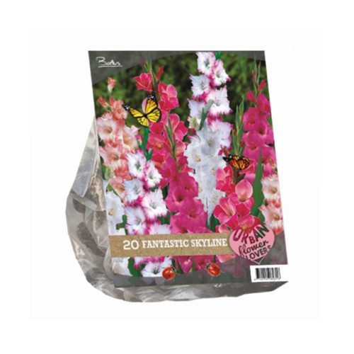 Urban Flowers - Fantastic Skyline —  pack of 20