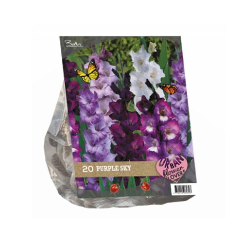 Urban Flowers - Purple Sky —  pack of 20