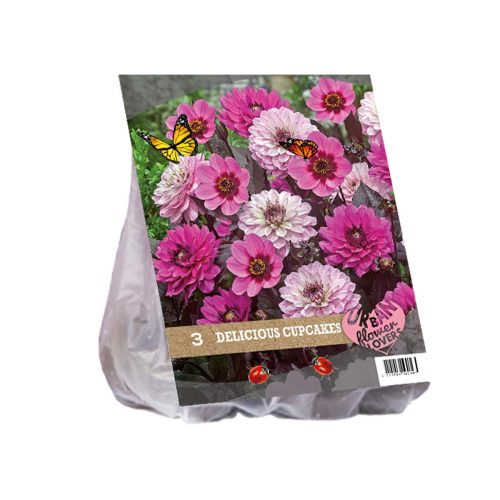 Urban Flowers – Delicious Cupcakes — pack of 3
