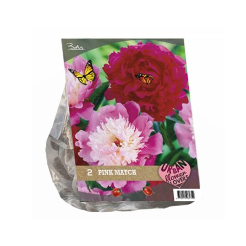 Urban Flowers – Pink Match — pack of 2