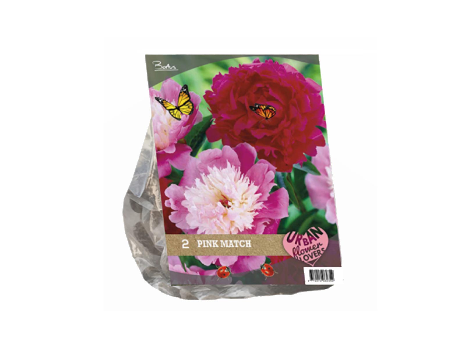 Urban Flowers – Pink Match — pack of 2