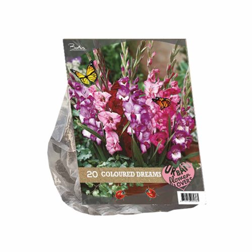 Urban Flowers - Coloured Dreams —  pack of 20