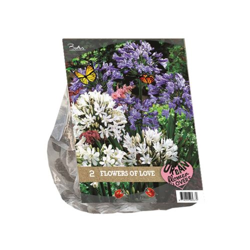 Urban Flowers - Flowers of Love —  pack of 2