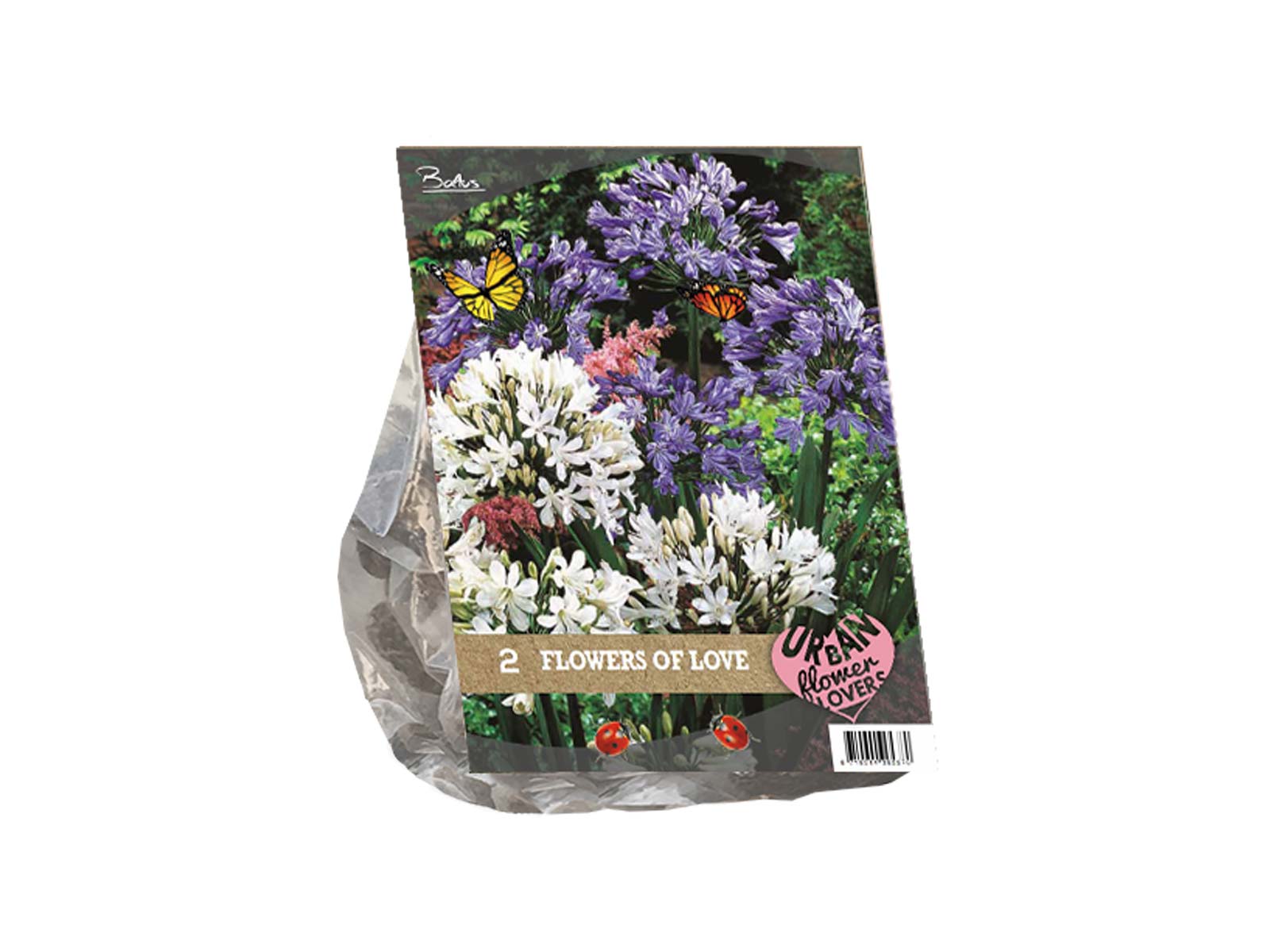 Urban Flowers - Flowers of Love — pack of 2