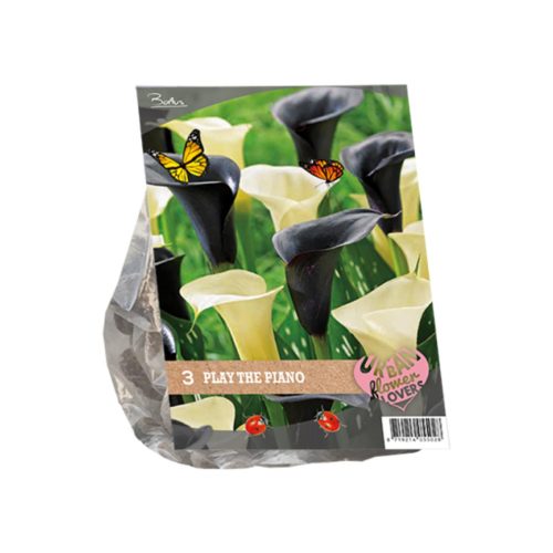 Urban Flowers - Play the Piano —  pack of 3