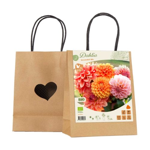 Bio Dahlia Gift Bag Decorative Mix — pack of 2